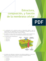 Estructura, Composición, y Función de La Membrana