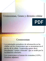 Cromosomas, Genes y Division Celular