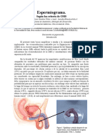 Espermiograma. Según Los Criterio de OMS