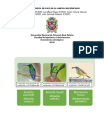 Guia Fotografica de Aves en El Campus Universitario