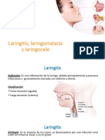 Otorrino - Laringe