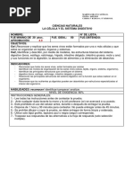 Prueba 5° La Célula y El Sistema Digestivo Final