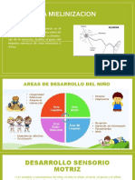 Areas de Desarrollo Del Niño