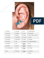 Mapa Auricular Avançado PDF