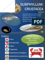 PresentaciónSubphyllumCrustacea 2013 PDF