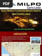 Cerro Lindo Productividad