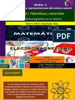 AI1. Electromagnetismo en El Entorno/M12