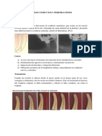 Endodoncia Grupo 4 Perforaciones y Falsos Conductos