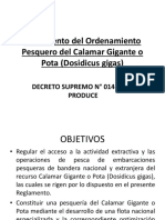 Reglamento Del Ordenamiento Pesquero Del Calamar Gigante o