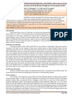 Isolation and Identification of Seed-Borne Fungi in Green Gram Seeds