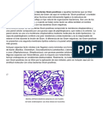 Bacteria Gram Positiva y Negativa