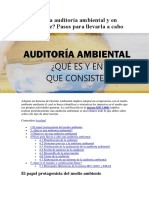 Auditoría Ambiental