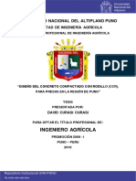 CRR Puno Presa PDF