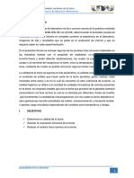 INFORME de ANALISIS de Lecheeee - Docx Propiedades