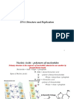 1 DNA Structure and Replication