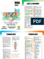 Resumen de Anatomía 1