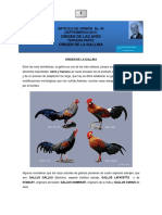 Historia de Las Gallinas