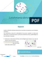 Protozoarios PDF