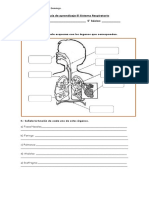 Guía de Aprendizaje El Sistema Respiratorio