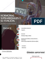 Hormonas Suprarrenales PDF