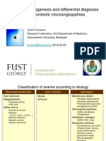 Pathogenesis and Differential Diagnosis of Thrombotic Microangiopathies