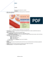 Fluids and Electrolytes Notes