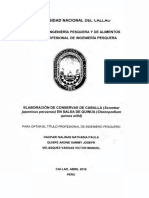 Nathasia Tesis Títuloprofesional 2016 PDF