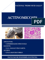 ACTINOMICOSIS