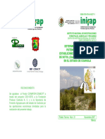 Determinación de Areas Potenciales para El Establecimiento de Plantaciones DE SOTOL (Dasylirion Cedrosanum Trel.) en El Estado de Coahuila