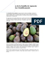 13 Beneficios de La Semilla de Aguacate Comprobados Científicamente