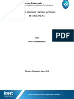 Proceso Enfermero ICEST PDF