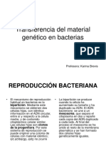 Transferencia Del Material Genetico en Bacterias