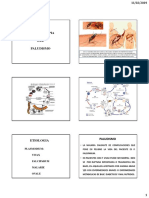 Tema 64 Antipalúdicos-1 PDF