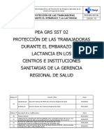 PEA GRS SST 02 Embarazo y Lactancia Ed 03