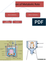 Calculation of Metabolic Rate