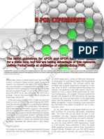 Guiding Our PCR Experiments