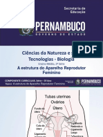 A Estrutura Aparelho Reprodutor Feminino