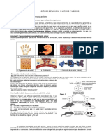 Guia de Estudio N 1