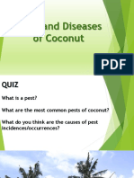 2018 Insect Pest of Coconut Lect PDF