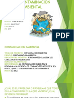 La Contaminacion Ambiental