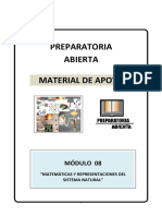 Gua Mdulo 08 Matematicas y Representacio PDF