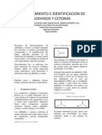 Reconocimiento e Identificacion de Aldehidos y Cetonas Informe 5 Quimica