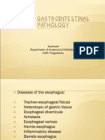 Upper Gastrointestinal Pathology, Baru 2010