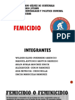 Presentacion Femicidio