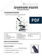 13 - Microscope Parts - PowerPoint Worksheet