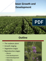 04 Soybean Growth and Development