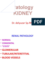 Patology Kidney: Dr. Delyuzar SP - PA