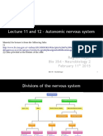 Lecture11 12 AutonomicNervousSystem