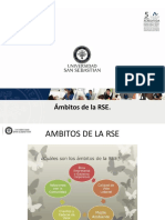 Ambitos de La RSE Dimension Interna