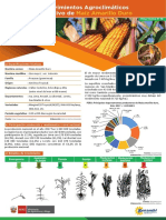 Ficha Tecnica19 Cultivo Maiz Amarillo Duro